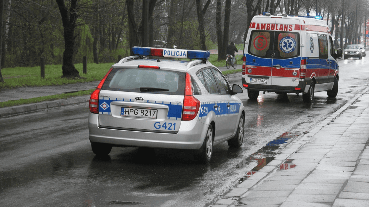policja