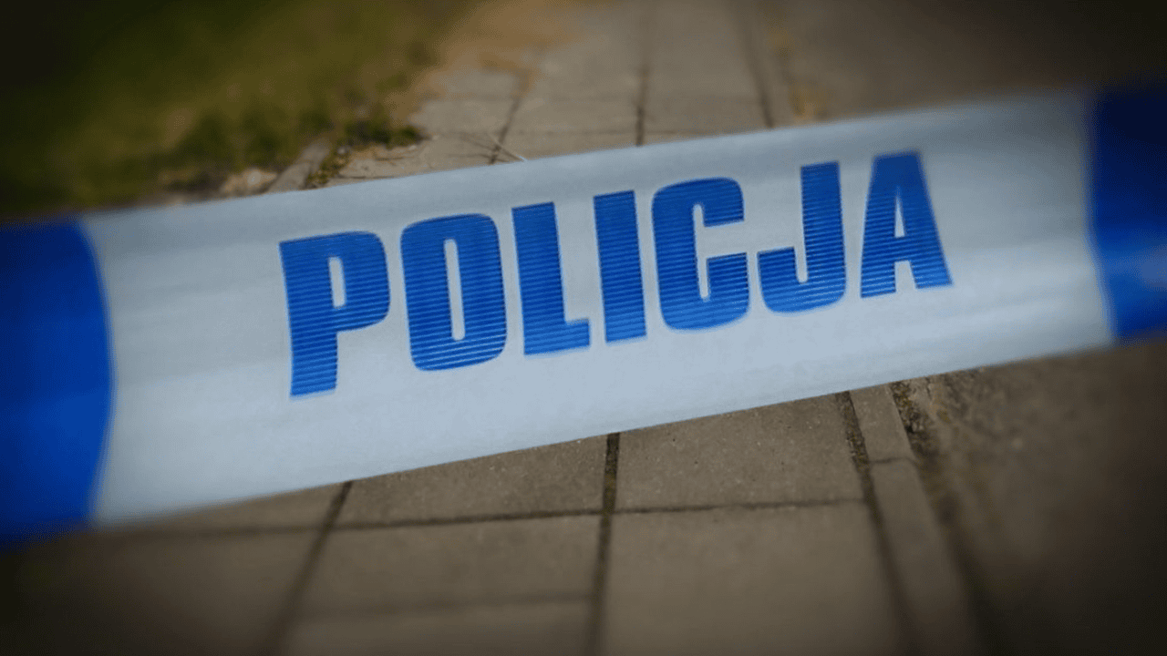 policja