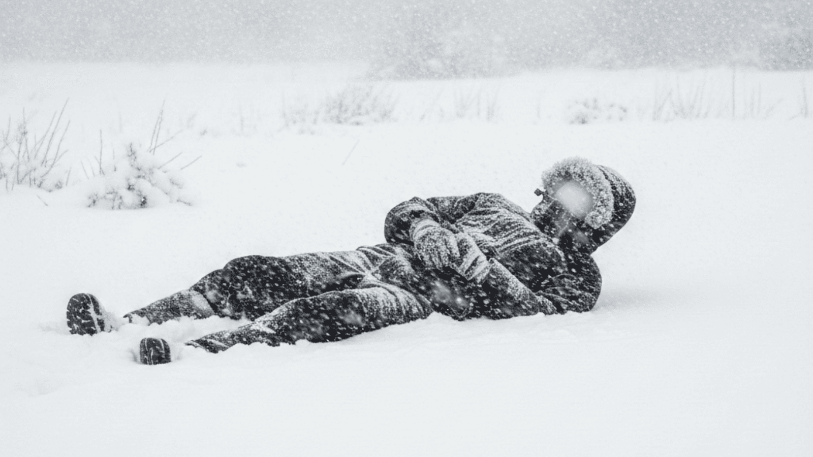 Psy broniły swojego właściciela. Poruszająca interwencja policji w gminie Turośń Kościelna