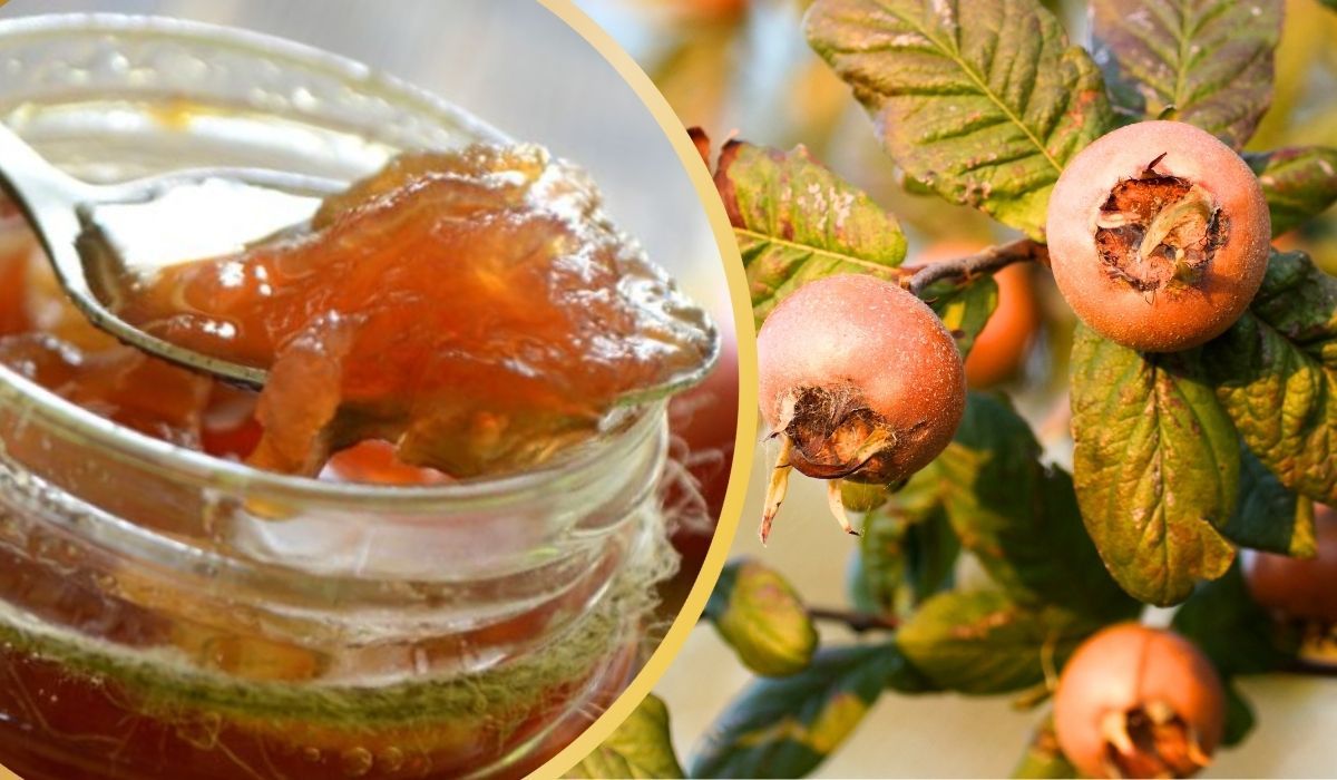 Zapomniany owoc z babcinego sadu. Zrób z niego dżem, smakuje jak karmel