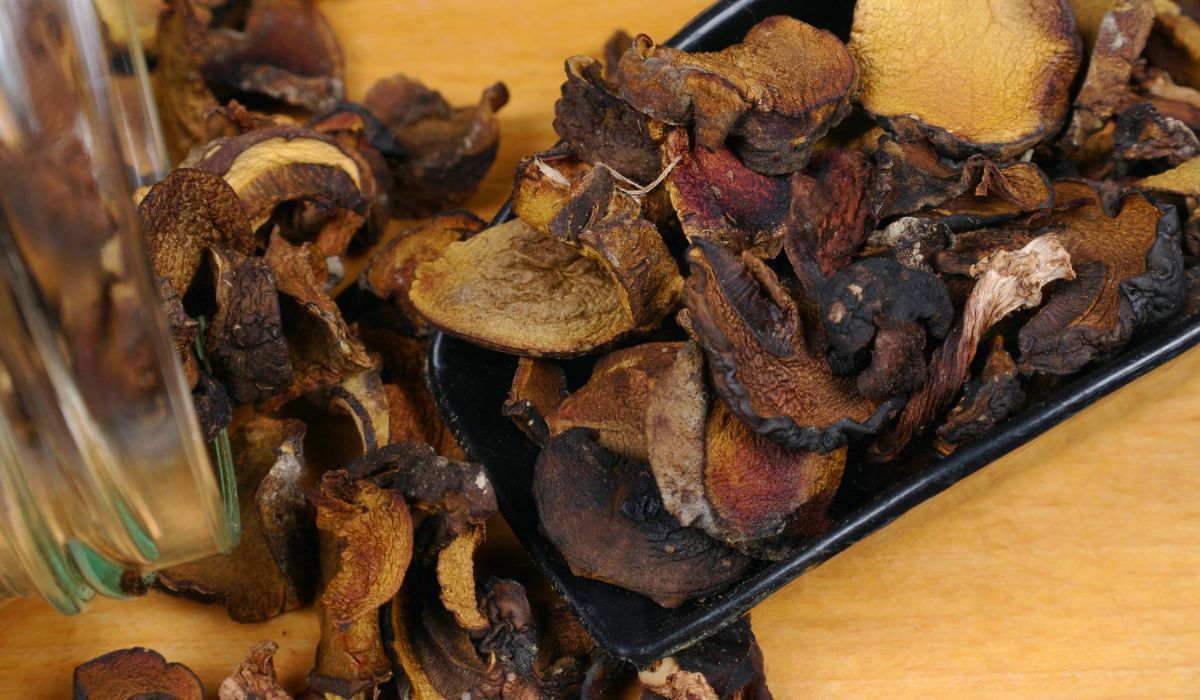 Największy błąd w suszeniu grzybów. Natychmiast pojawia się na nich pleśń