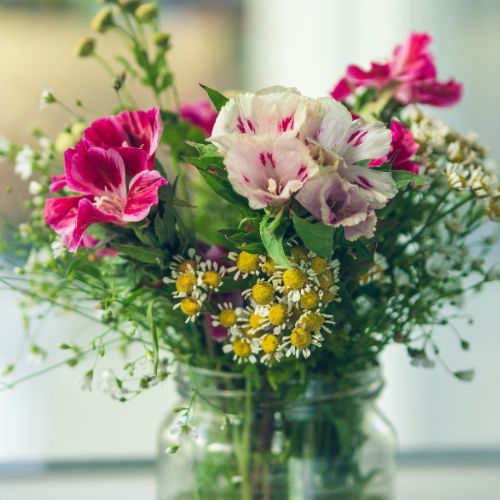 jak przedłużyć świeżość kwiatów w wazonie?