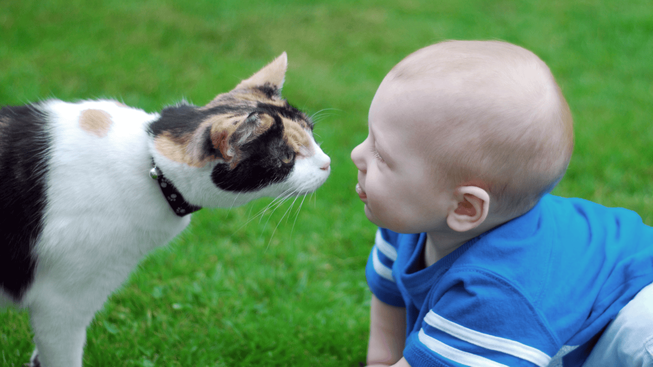 dziecko i kot