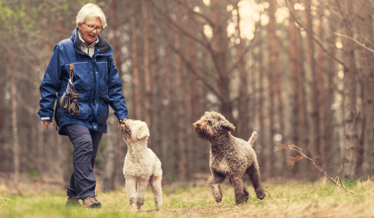 60-letnia kobieta z psami na spacerze