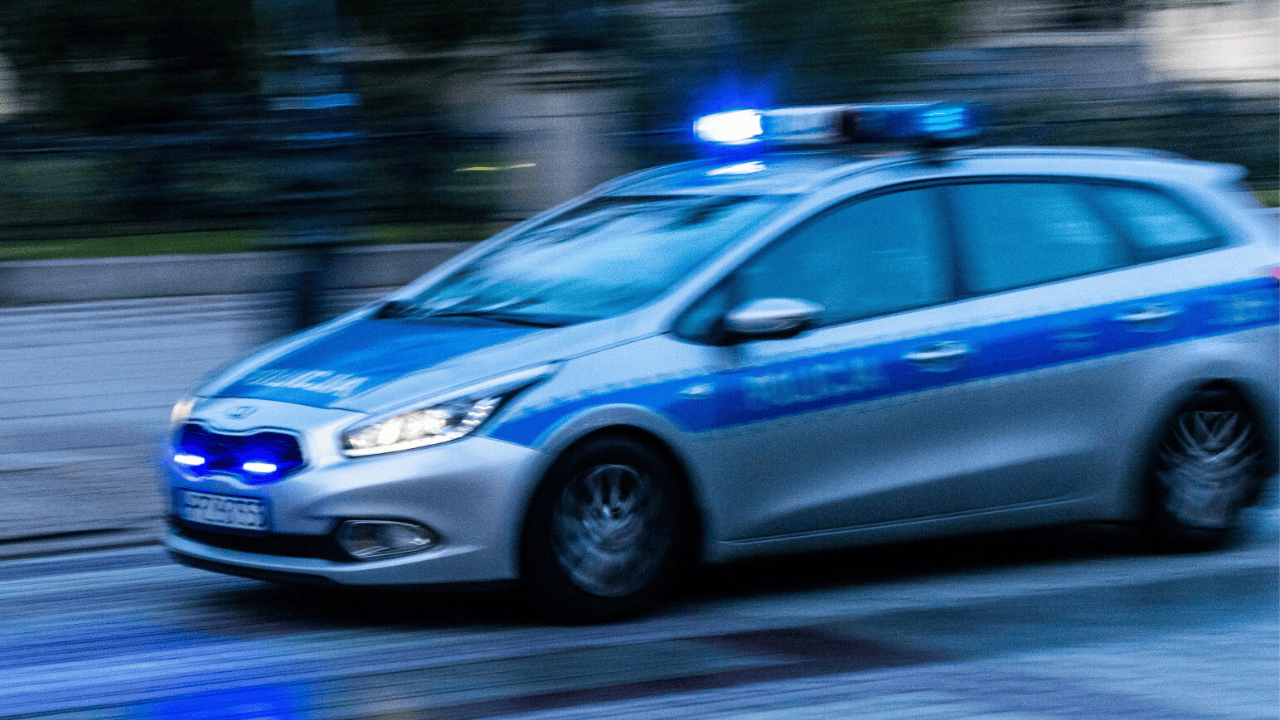 policja