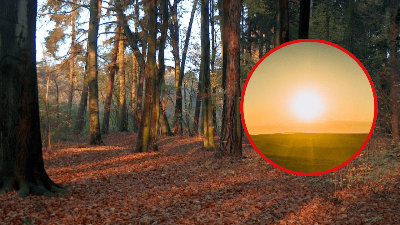 To już pewne! Wracają wysokie temperatury. Znamy termin ocieplenia