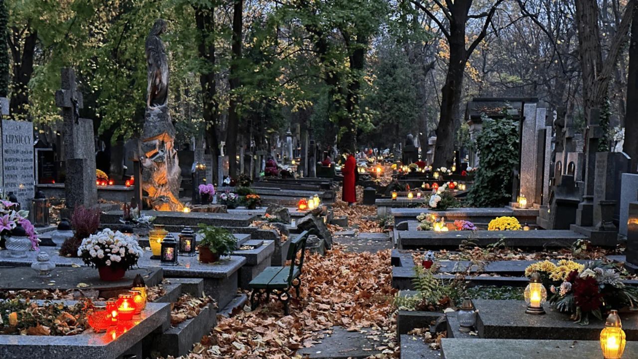 Niepojęte sceny na cmentarzu. Takie rzeczy tuż przed 1 listopada