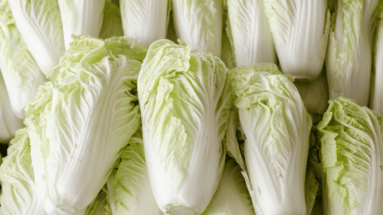 Kapusta pekińska na co dzień: co zyskuje zdrowie