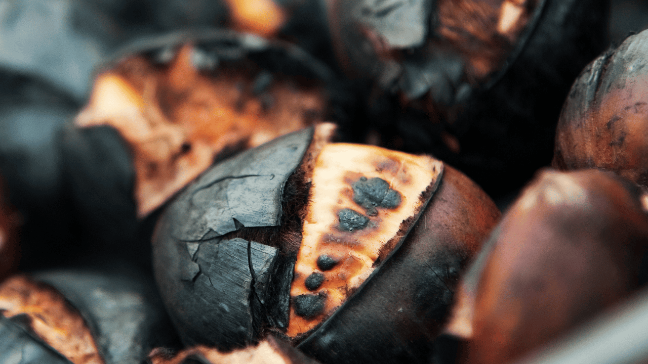 Izabela Nestioruk-Narojek