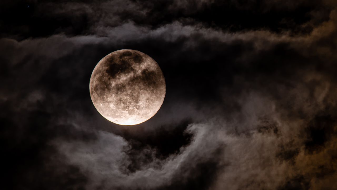 Magdalena Kaczmarska