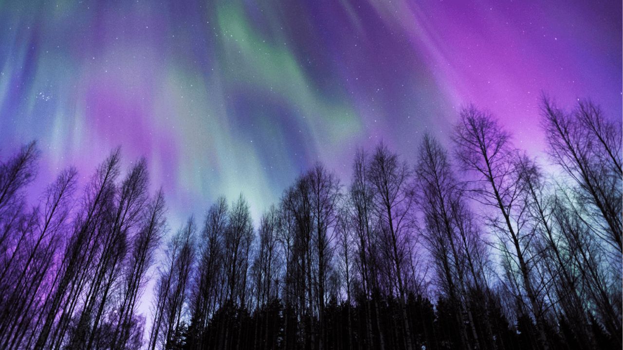 Magdalena Kaczmarska