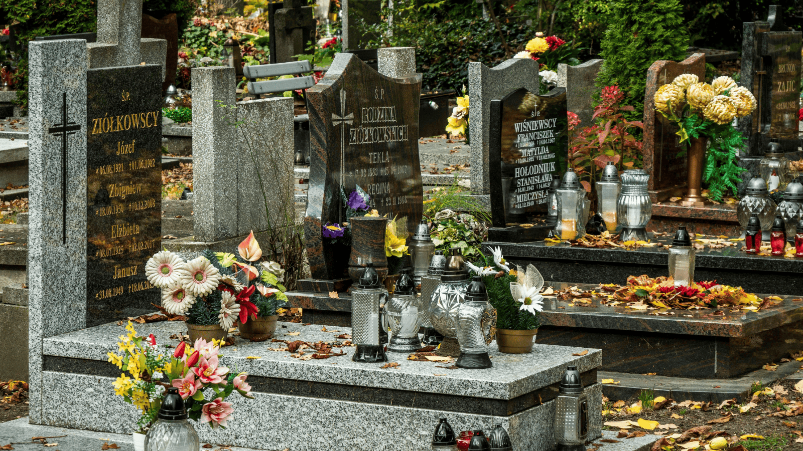 Izabela Nestioruk-Narojek