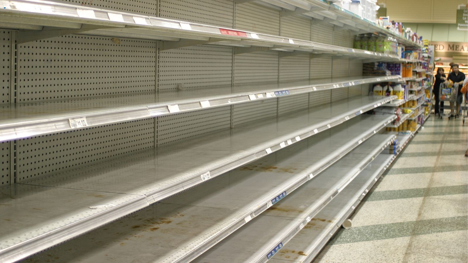 Magdalena Kaczmarska