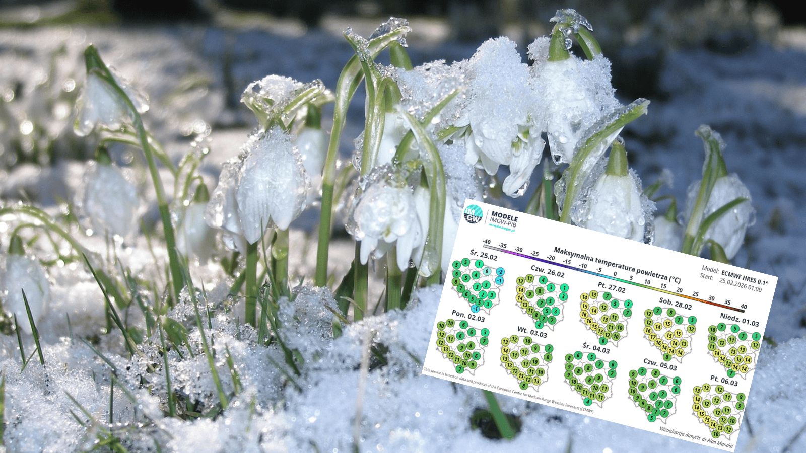 Michał Troszkiewicz