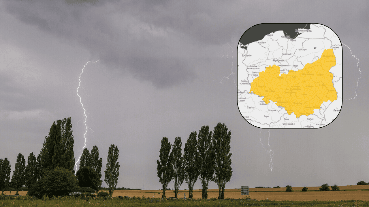 burza