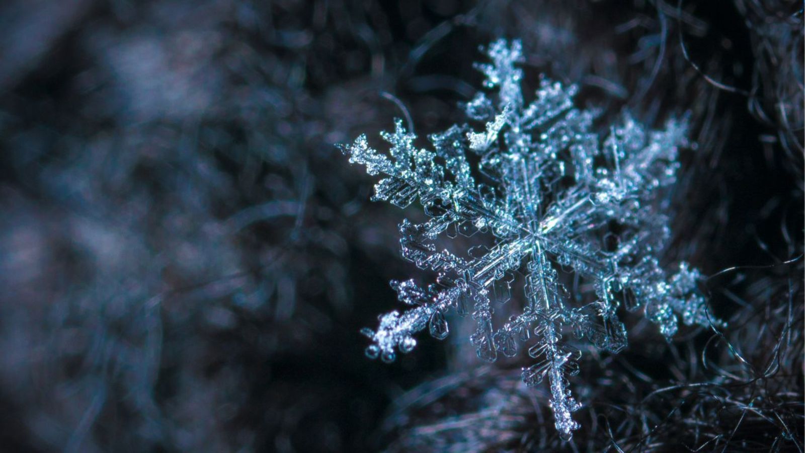Jest prognoza pogody na Boże Narodzenie. IMGW właśnie ujawnił
