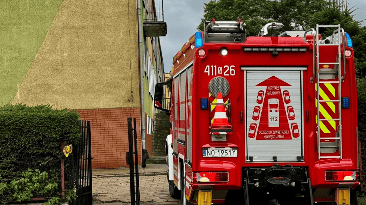 Porażające sceny w szkole podstawowej. Pilna ewakuacja 800 osób