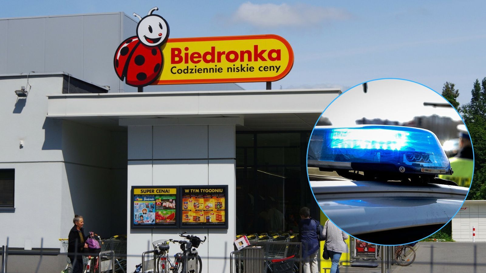 Biedronka 