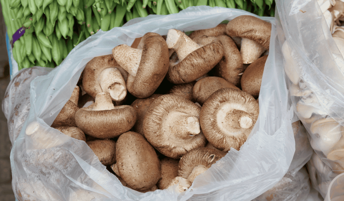 Nigdy nie trzymaj w nich grzybów. Natychmiast pojawi się pleśń