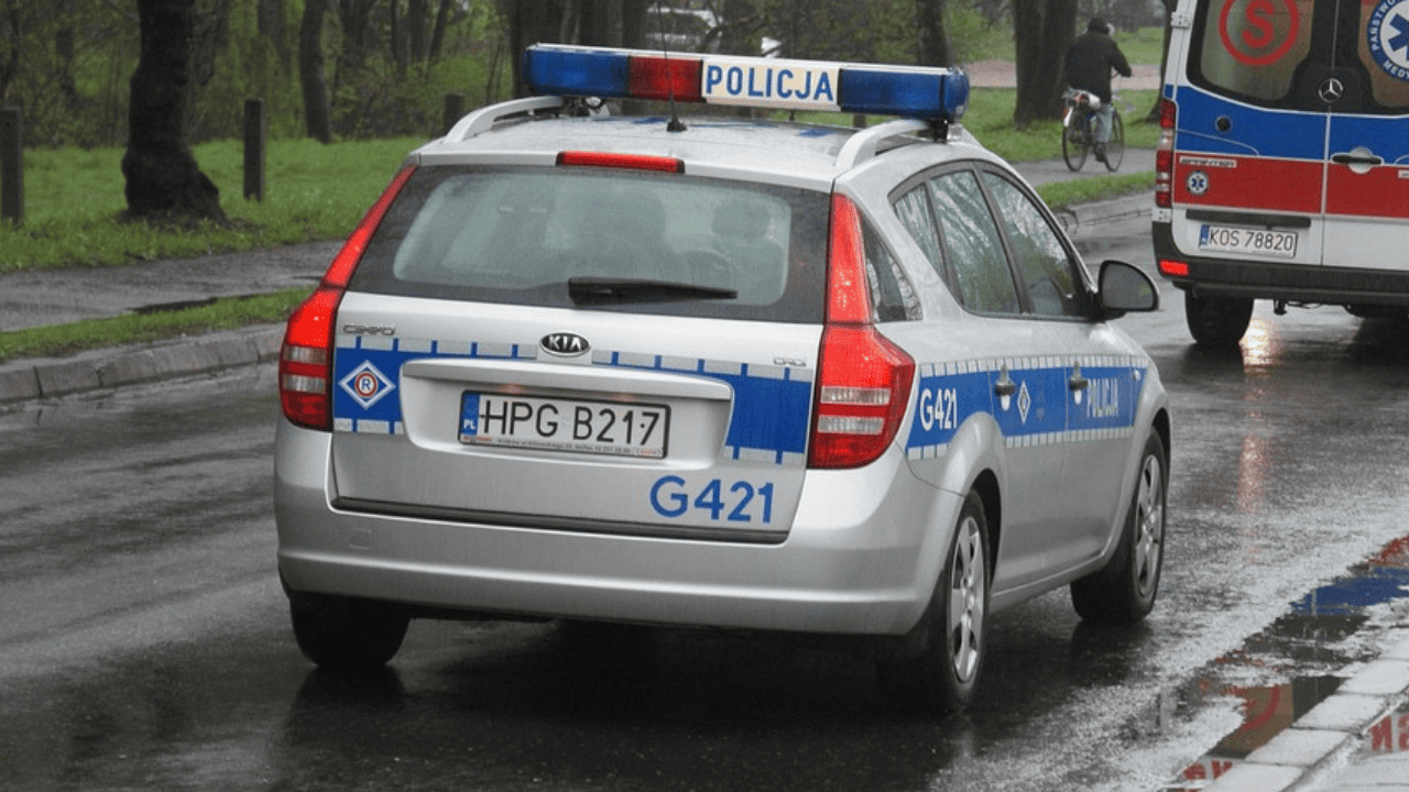 policja