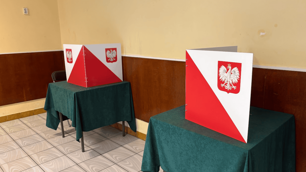 wybory