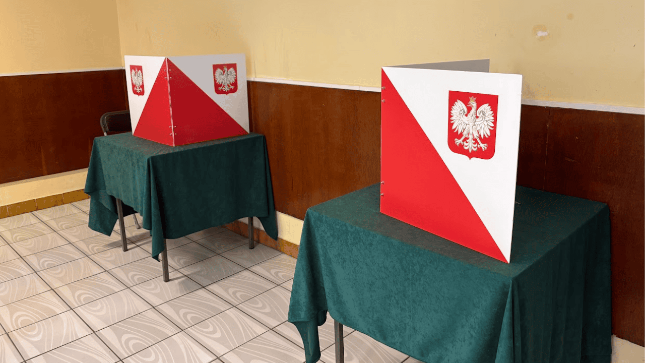 wybory