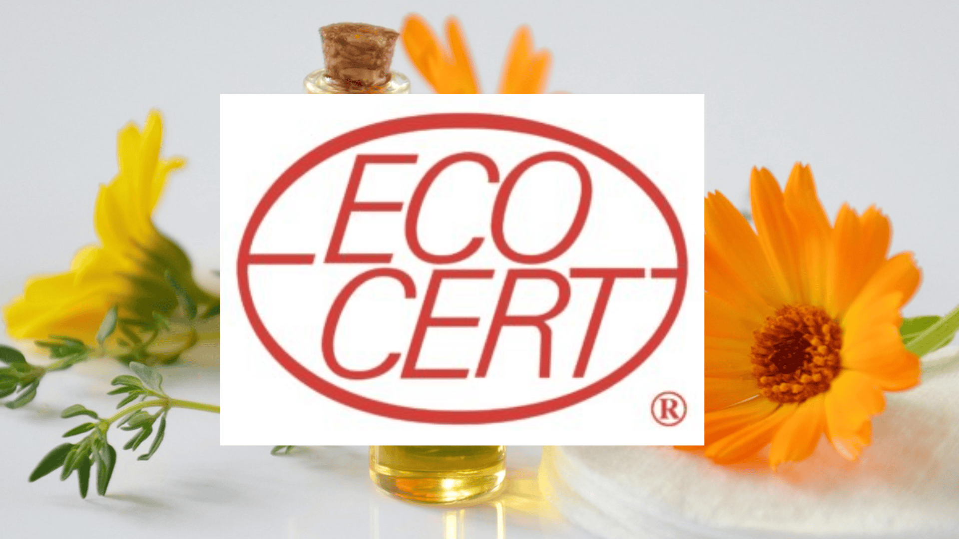 Ecocert – co to?