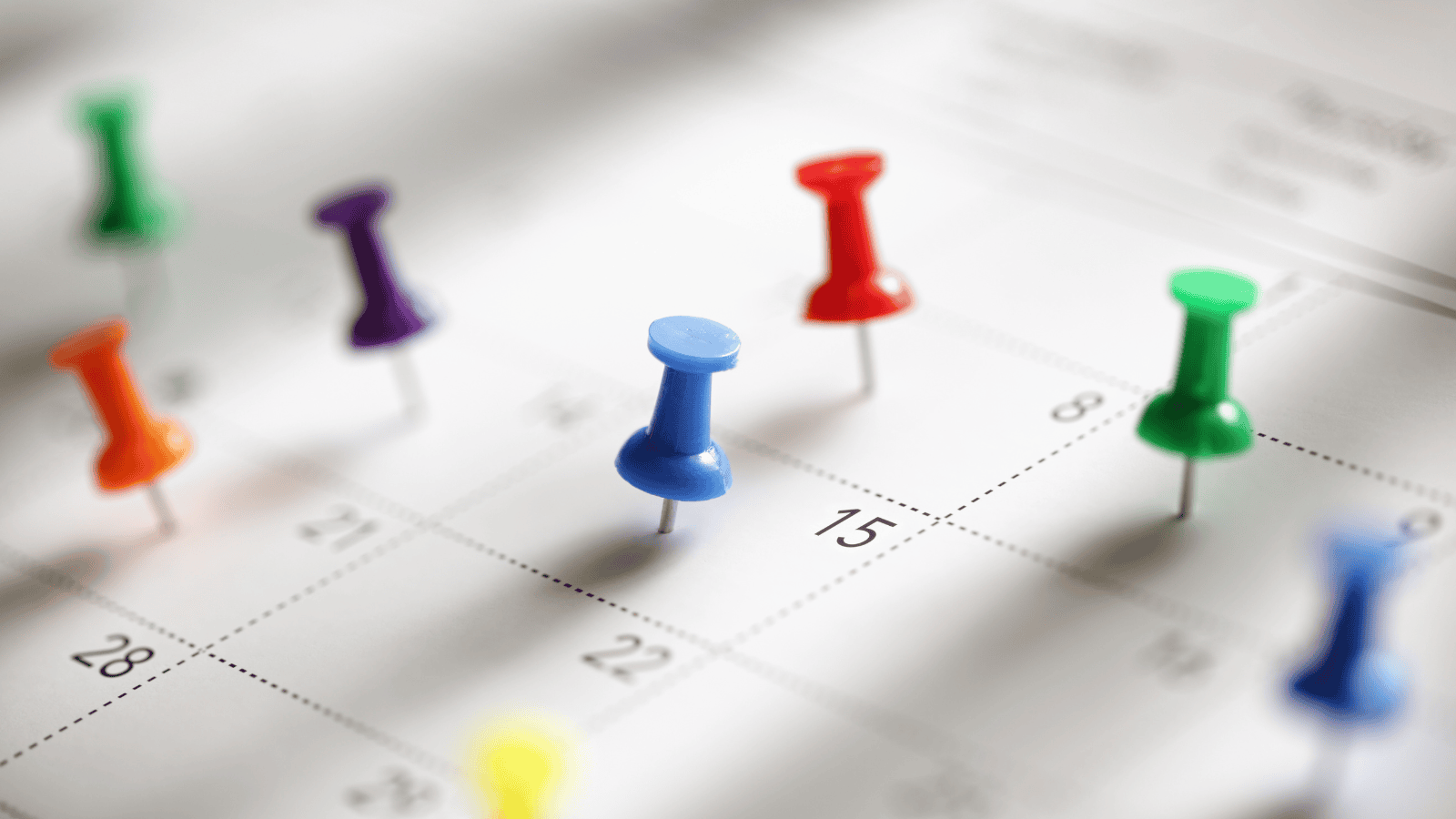 Dni wolne w 2026 roku