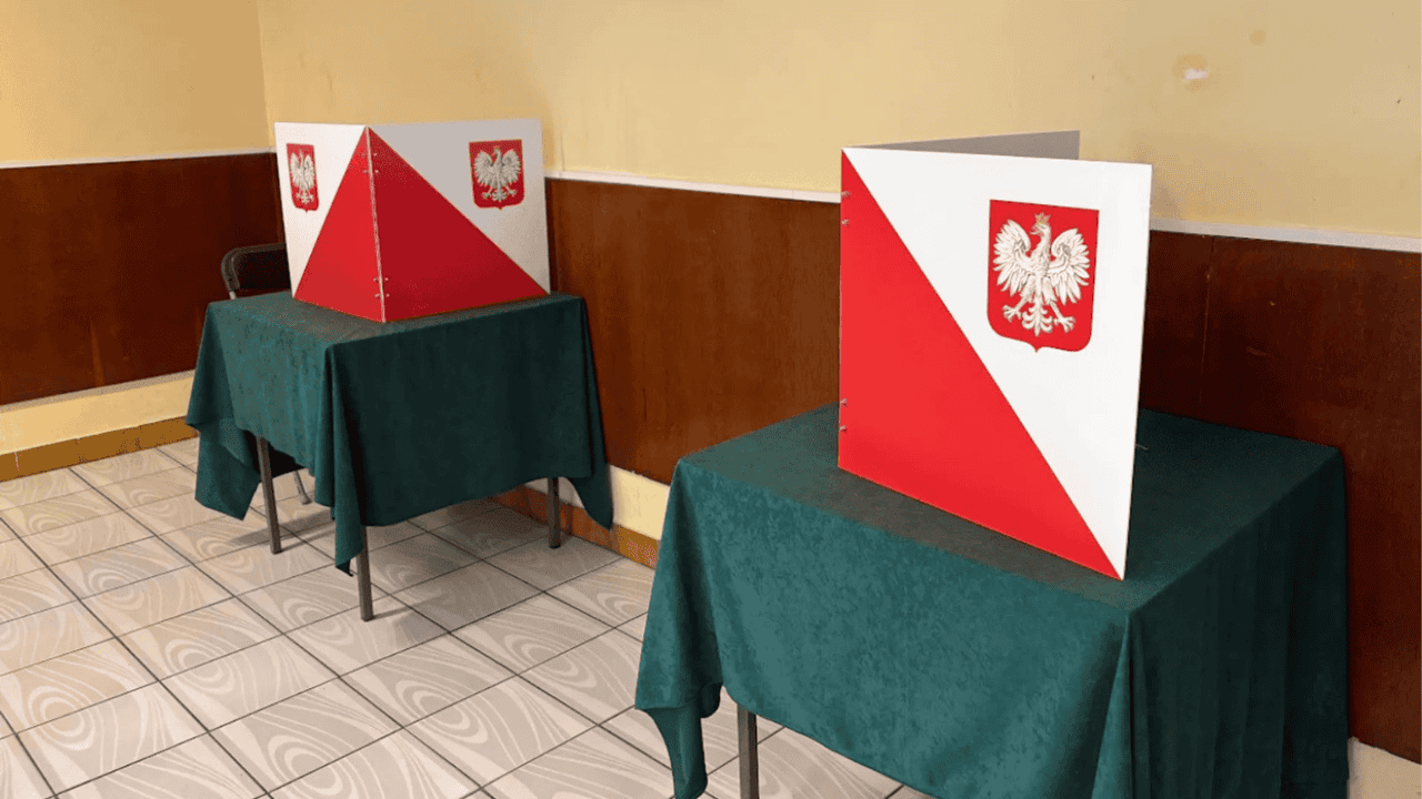 wybory