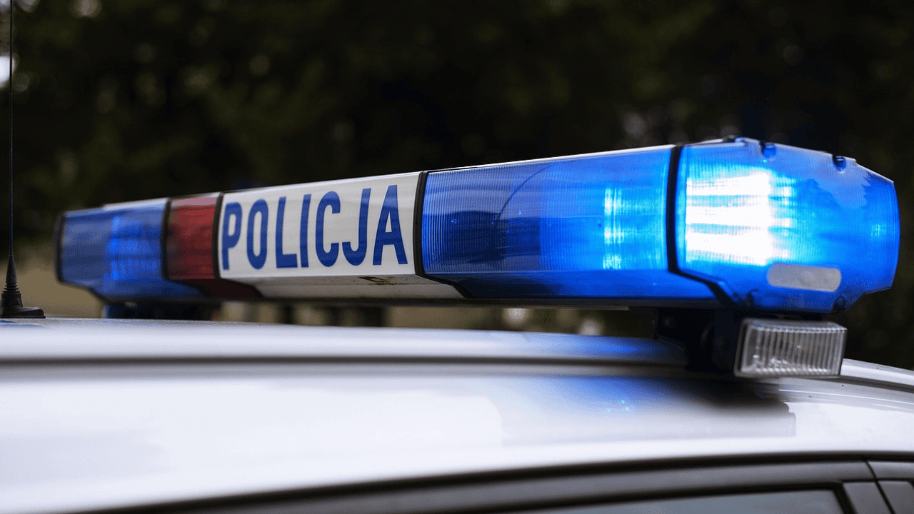 policja