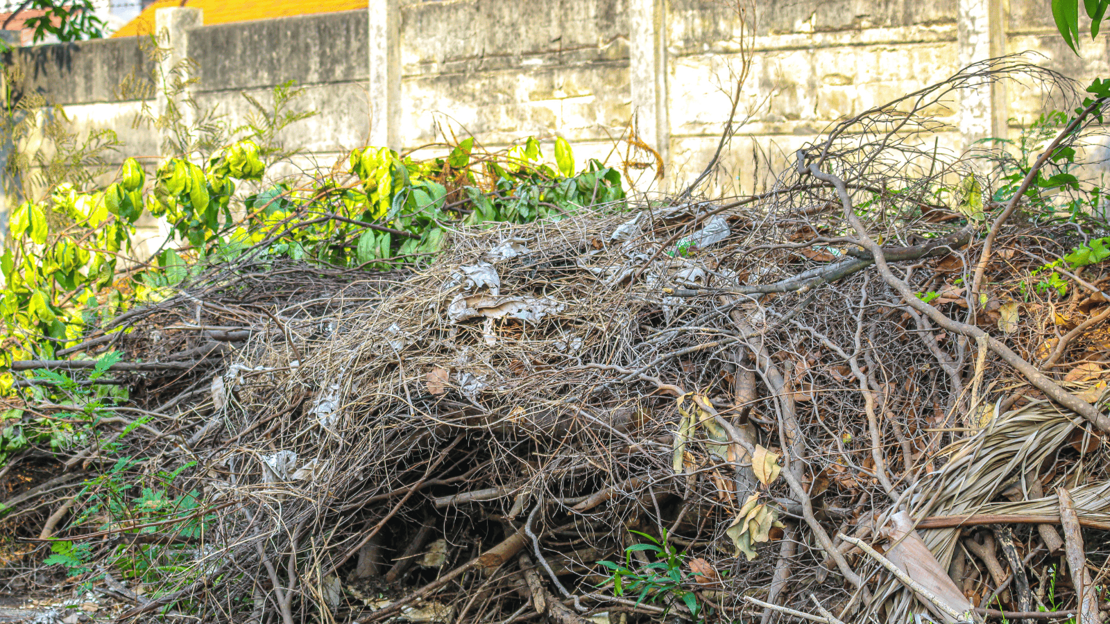 Zuzanna Kabot