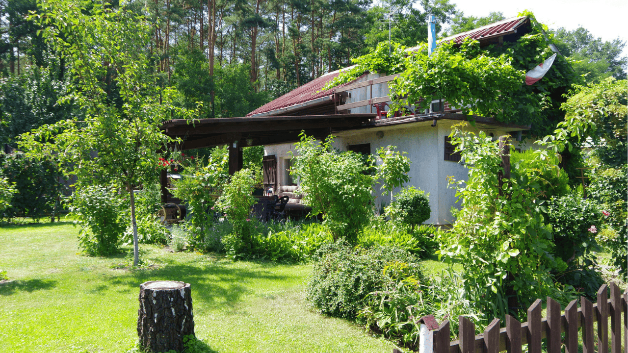 Krzysztof Górski