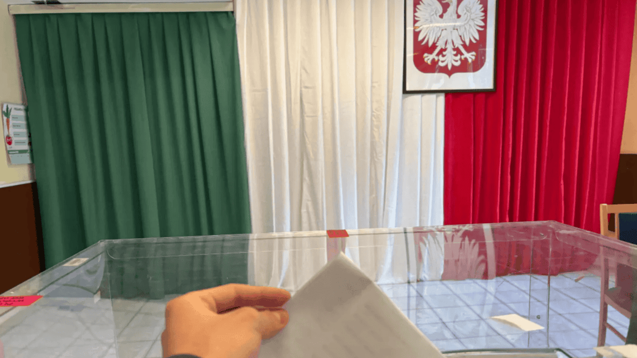 wybory