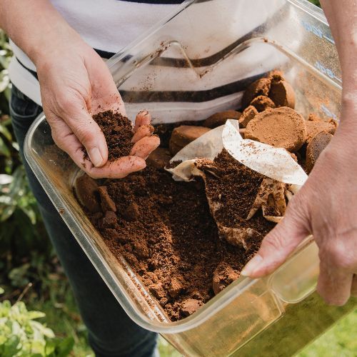 Pod koniec sierpnia rozsypuję pod wrzosami. Kwitną aż do zimy