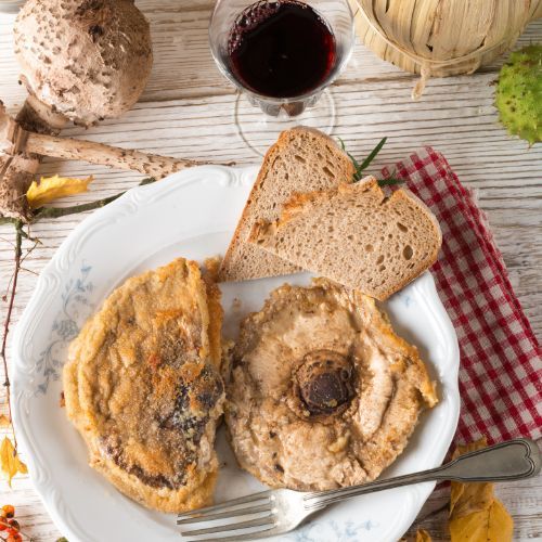 Nie tylko sromotnik! Jak rozpoznać toksyczne sobowtóry kani?