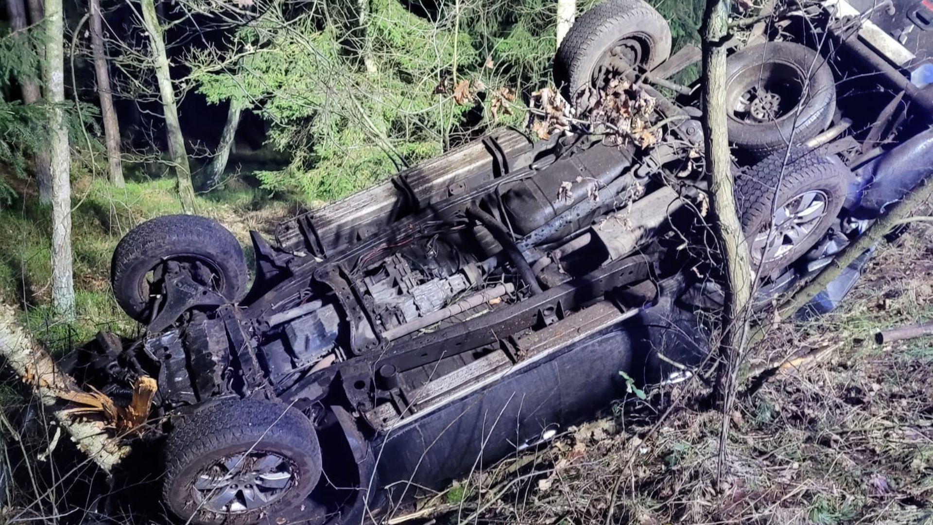 auto wypadek las