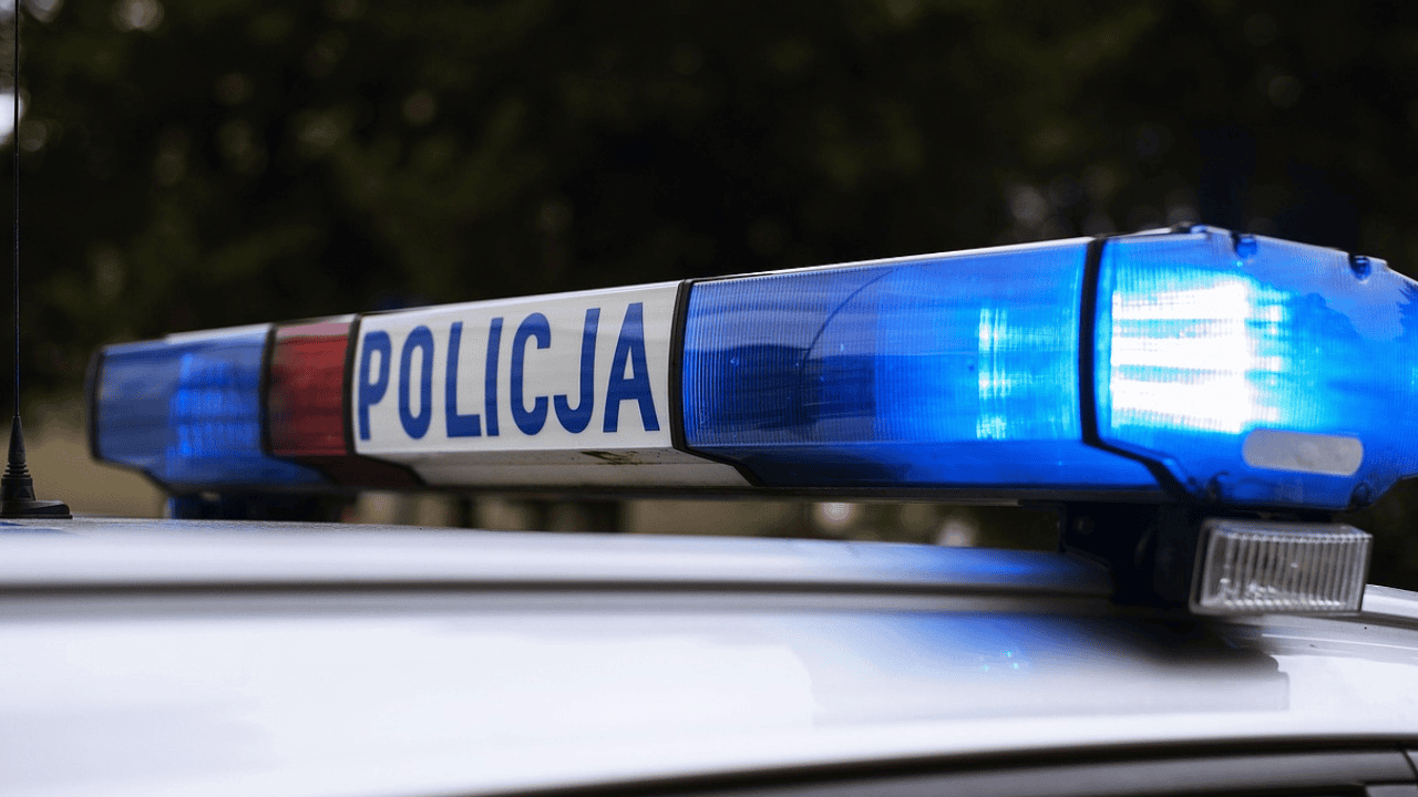 policja