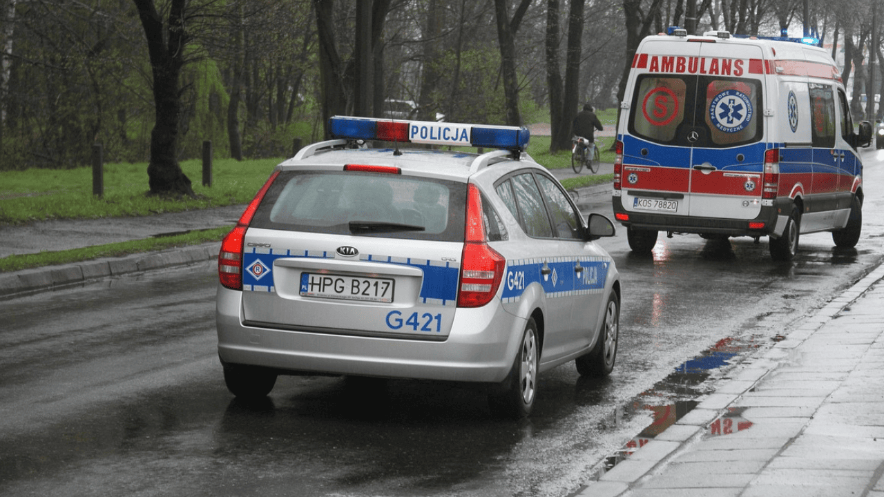policja