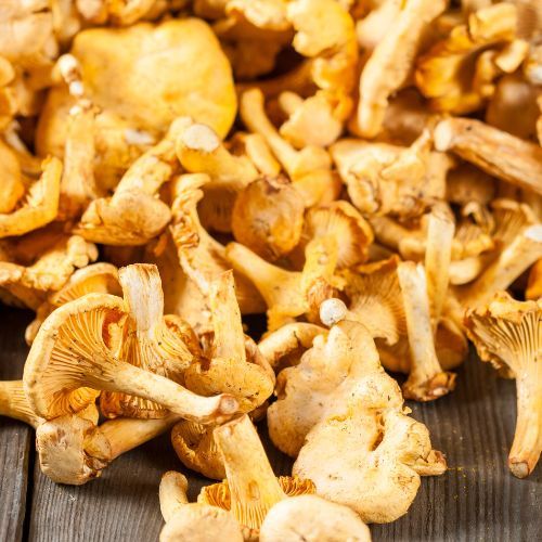 Dlaczego warto jeść kurki? Te grzyby są bardzo cenne