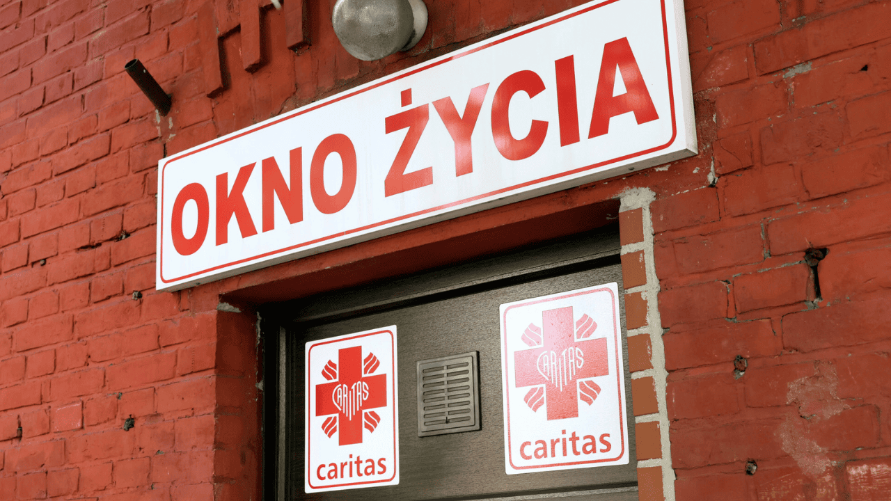 okno życia