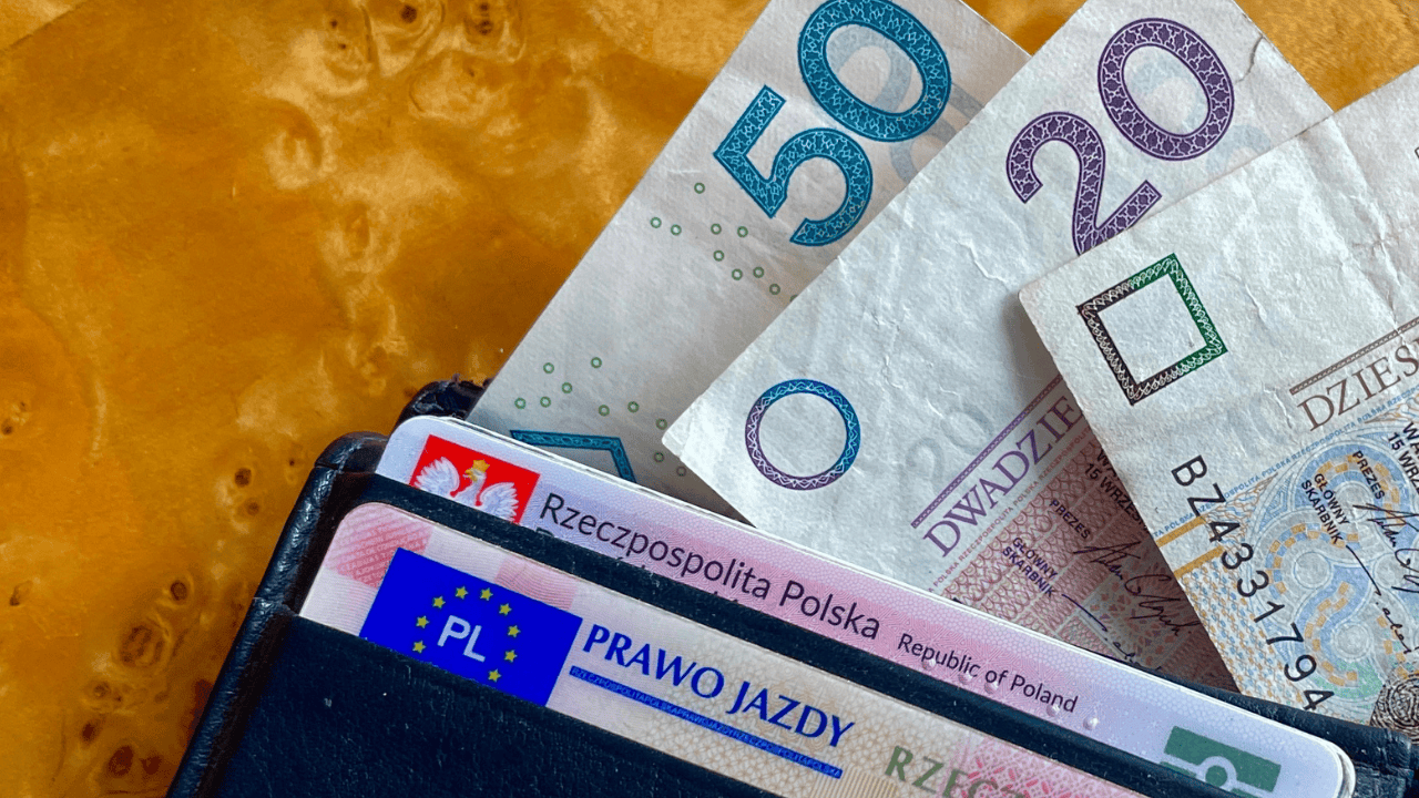 Elżbieta Włodarska