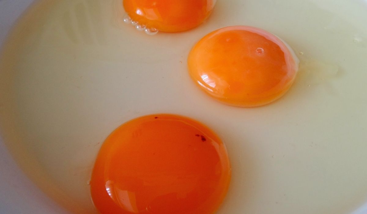 Co oznacza czerwona plamka w jajku?