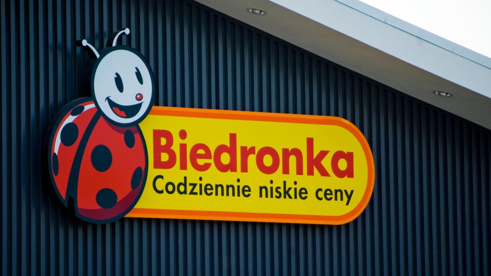 Od czwartku w Biedronce atrakcyjne promocje. 3+3 gratis na popularne produkty