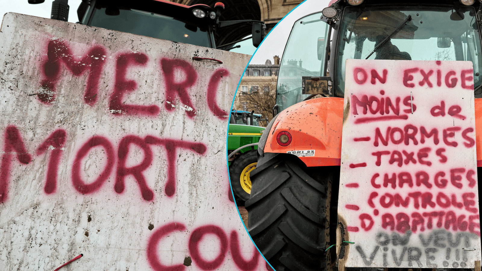 Nagły zwrot akcji w umowie z Mercosur. PE wyrolowany, obce towary choćby już w przyszłym tygodniu