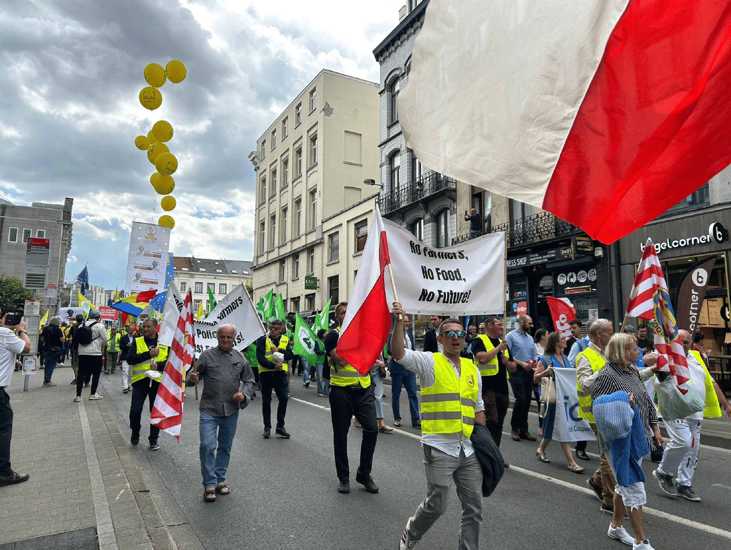 Protesty