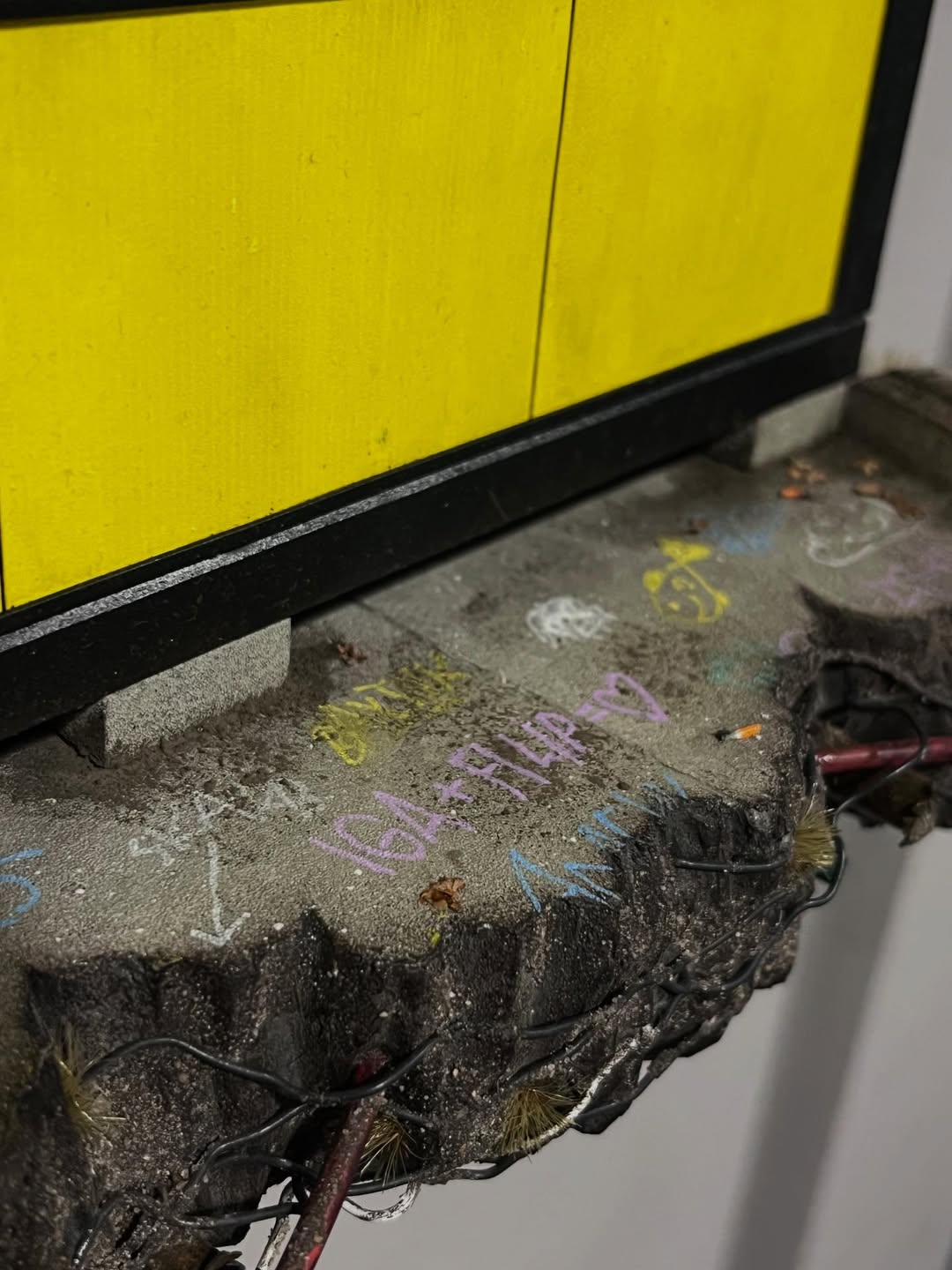 Wyjątkowy prezent Taco Hemingwaya dla Igi Lis. O tym marzy każdy