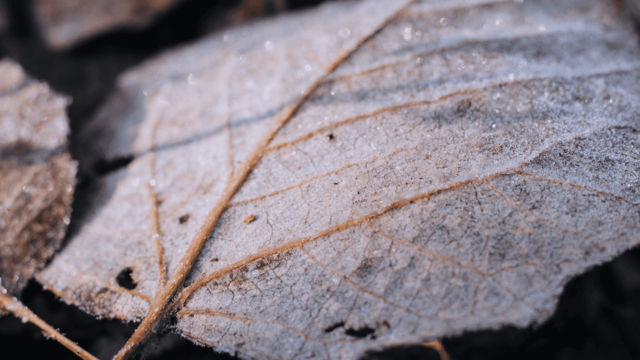 Nagle ochłodzenie nadciąga do Europy. Możliwe silne śnieżyce