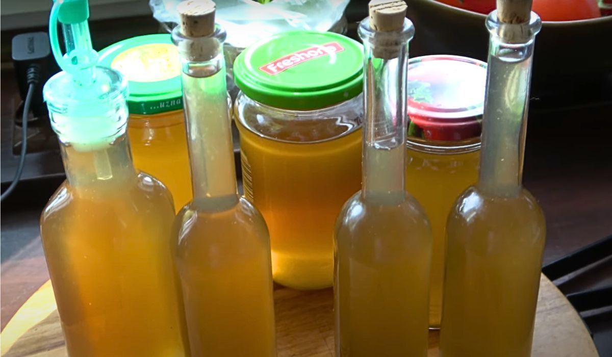 Aromatyczna przyprawa z lubczyku