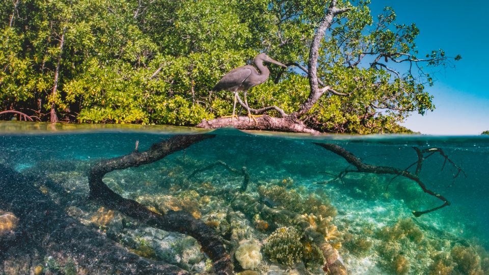 Raja Ampat