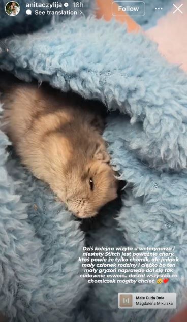 Przykre wieści z domu Anity i Adriana. Choroba kolejnego członka rodziny przyszła nagle